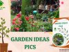 Garden Ideas Pics